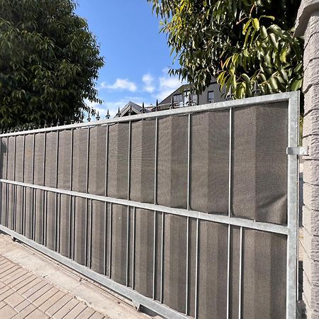 Mount Road Greenhouse Apartment מראה חיצוני תמונה